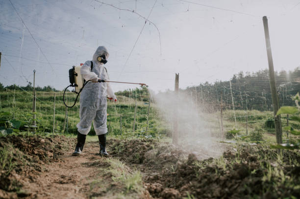Best Pest Removal Services  in Holmen, WI