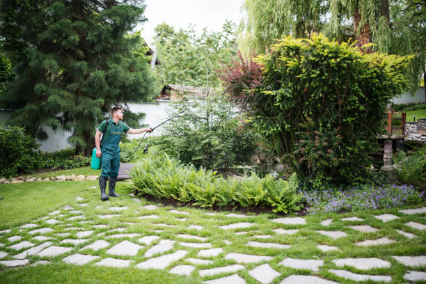 Best Affordable Pest Control Services  in Holmen, WI